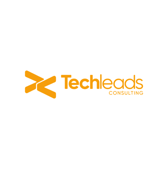 techleads consulting logo